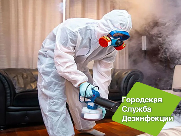 Дезодорация помещения в Москве и МО